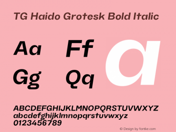 TG Haido Grotesk Bold Italic Version 1.000;hotconv 1.0.109;makeotfexe 2.5.65596图片样张