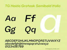 TG Haido Grotesk Semibold Italic Version 1.000;hotconv 1.0.109;makeotfexe 2.5.65596图片样张