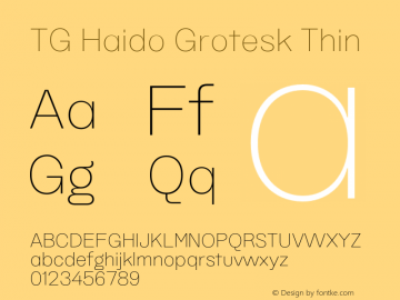 TG Haido Grotesk Thin Version 1.000;hotconv 1.0.109;makeotfexe 2.5.65596图片样张