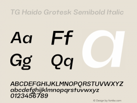 TG Haido Grotesk Semibold Italic Version 1.000图片样张