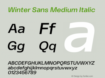 Winter Sans Medium Italic Version 1.000 | FøM Fix图片样张