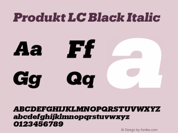 Produkt LC Black Italic Version 2.001;hotconv 1.0.109;makeotfexe 2.5.65596图片样张