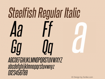 SteelfishRg-Italic Version 6.001图片样张