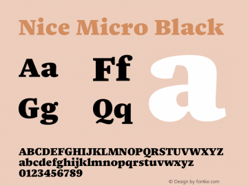Nice Micro Black Version 1.000 | web-ttf图片样张