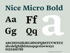 Nice Micro Bold Version 1.000 | web-ttf图片样张