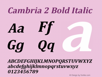 Cambria 2 Bold Italic Version 8.00图片样张