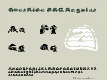 OverRide DSG Regular Version 1.00 February 5, 2006, initial release图片样张
