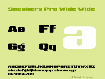 Sneakers Pro Wide Wide Version 3.000 2006 initial release图片样张