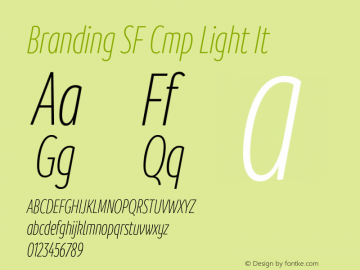 Branding SF Cmp Light It Version 1.000;hotconv 1.0.109;makeotfexe 2.5.65596图片样张