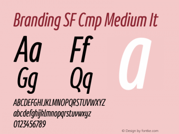 Branding SF Cmp Medium It Version 1.000;hotconv 1.0.109;makeotfexe 2.5.65596图片样张