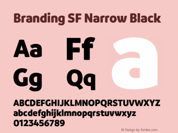 Branding SF Narrow Black Version 1.000;hotconv 1.0.109;makeotfexe 2.5.65596图片样张