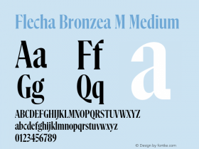 Flecha Bronzea M  Medium Version 1.000图片样张