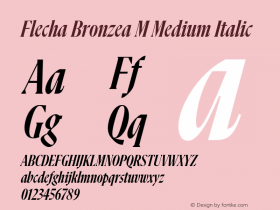 Flecha Bronzea M  Medium Italic Version 1.001图片样张