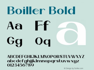 Boiller Bold Version 1.000;hotconv 1.0.109;makeotfexe 2.5.65596图片样张