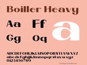 Boiller Heavy Version 1.000;hotconv 1.0.109;makeotfexe 2.5.65596图片样张