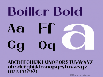 Boiller Bold Version 1.000图片样张