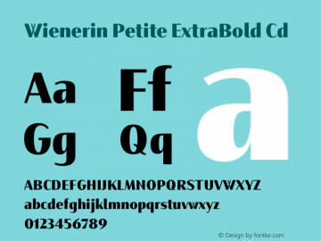 Wienerin Petite ExtraBold Cd Version 1.000图片样张