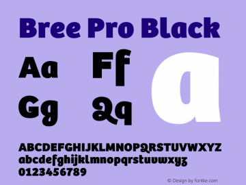 Bree Pro Black Version 3.000;hotconv 1.0.109;makeotfexe 2.5.65593图片样张