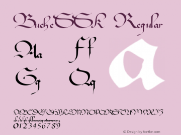 BucheSSK Regular Macromedia Fontographer 4.1 8/11/95 Font Sample