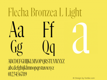 Flecha Bronzea L Light Version 1.000图片样张