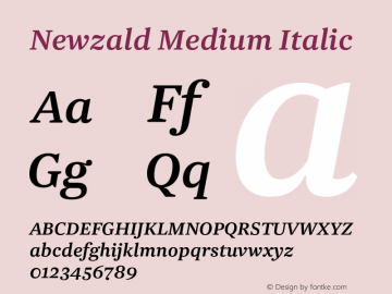 Newzald Medium Italic Version 1.000, initial release图片样张