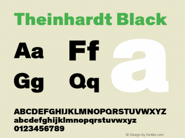 Theinhardt Black Version 4.003; build 0008图片样张