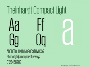 Theinhardt Compact  Light Version 1.002; build 0002图片样张