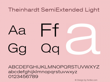 Theinhardt SemiExtended  Light Version 1.002; build 0003图片样张