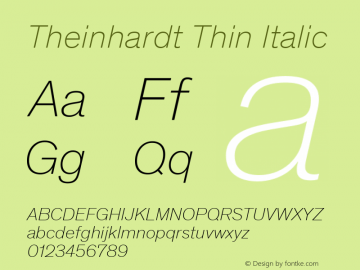 Theinhardt Thin Italic Version 4.003; build 0007图片样张