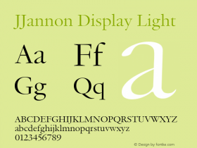 JJannon Display Light Version 1.002; build 0004图片样张