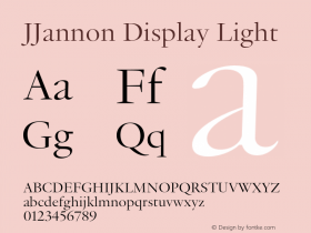 JJannon Display Light Version 1.002; build 0004图片样张