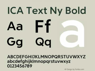 ICA Text Ny Bold Version 1.000图片样张