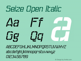 Seize Open Italic OTF 1.0;PS 001.000;Core 116;AOCW 1.0 161 Font Sample