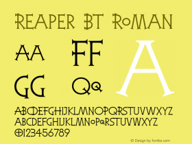 Reaper BT Roman Version 1.01 emb4-OT图片样张