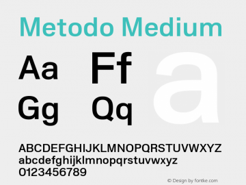 Metodo Medium Version 1.001; build 0001图片样张