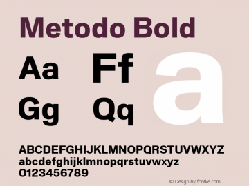 Metodo Bold Version 1.001; build 0001图片样张