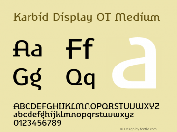 Karbid Display OT Medium Version 7.60图片样张