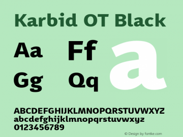 Karbid OT Black Version 7.60图片样张