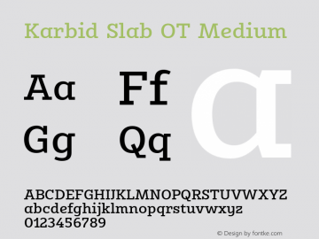 Karbid Slab OT Medium Version 7.60图片样张