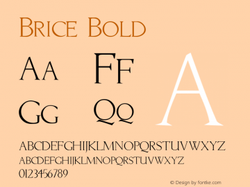 Brice Bold Rev. 003.000图片样张