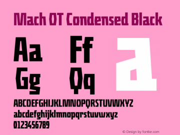 MachOT-CondBlack Version 7.504; 2009; Build 1003图片样张