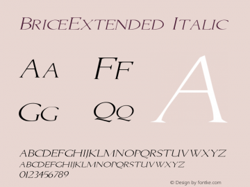 BriceExtended Italic Rev. 003.000图片样张