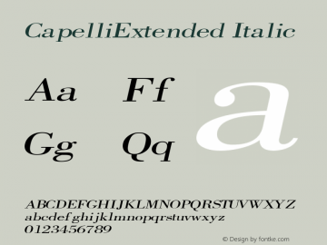 CapelliExtended Italic Rev. 003.000 Font Sample