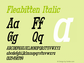 Fleabitten Italic Version 1.000图片样张