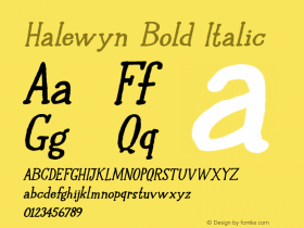 Halewyn Bold Italic Version 1.000图片样张