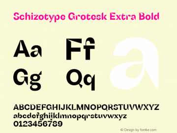 SchizotypeGrotesk-ExtraBold Version 1.000图片样张