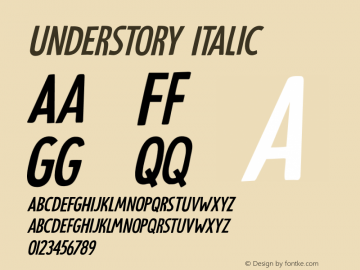 Understory Italic Version 1.000图片样张