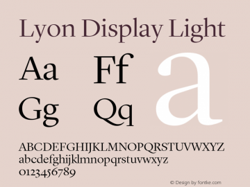 Lyon Display Light Version 001.000 2010图片样张
