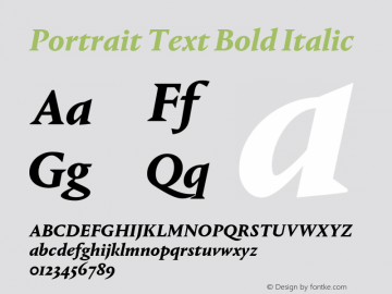 Portrait Text Bold Italic Version 1.1 2013图片样张