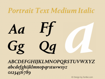 Portrait Text Medium Italic Version 1.1 2013图片样张